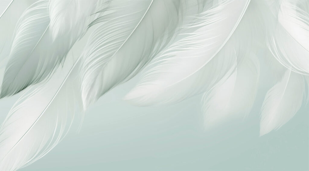 Feathers in soft folds — full design