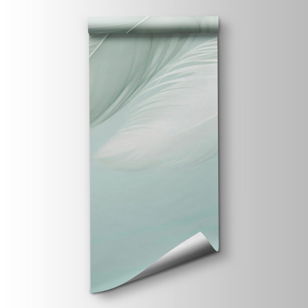Feathers in soft folds — product view