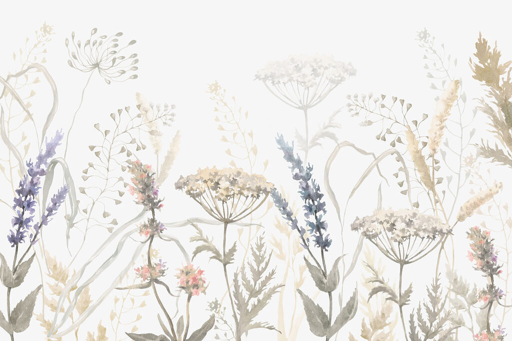 Wild field plants — full design