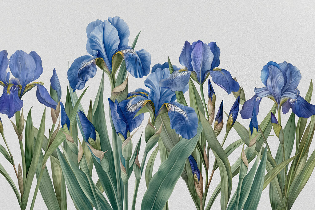 Irises on slender stems — full design