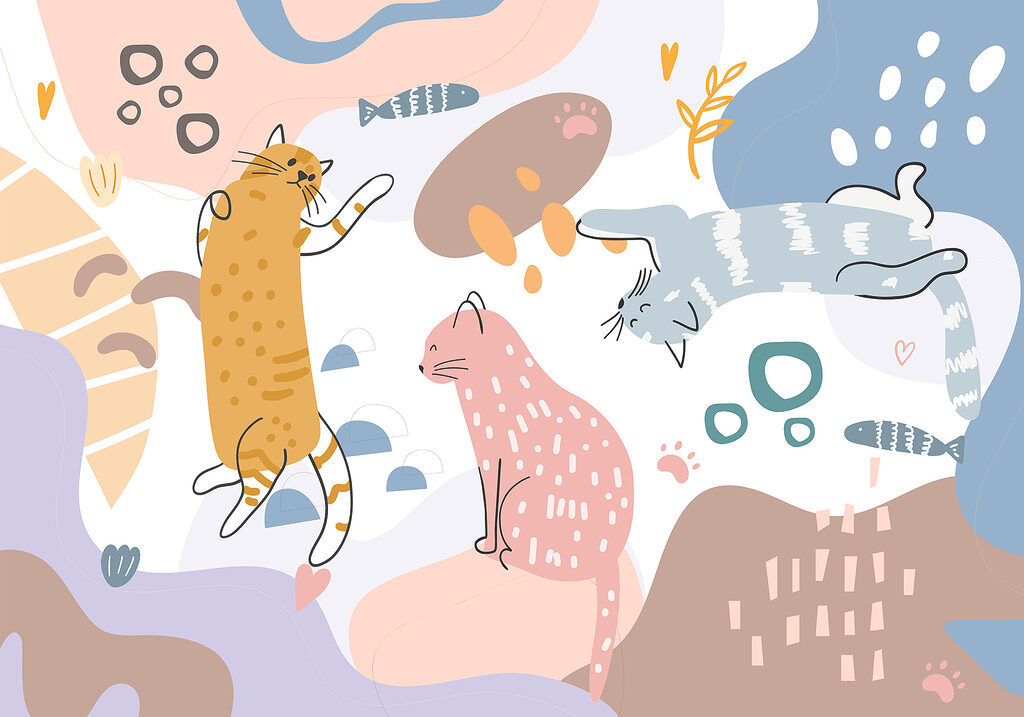 Cats among colour blocks — full design