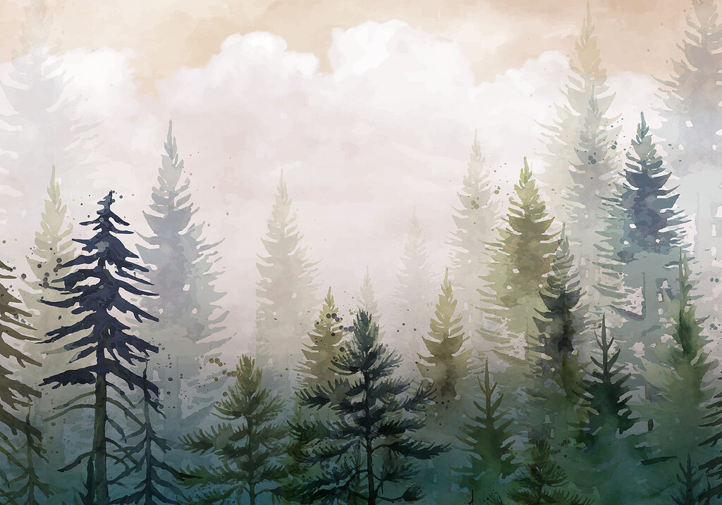 Pines under soft clouds — full design