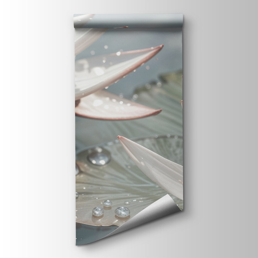 Water lilies with droplets — product view