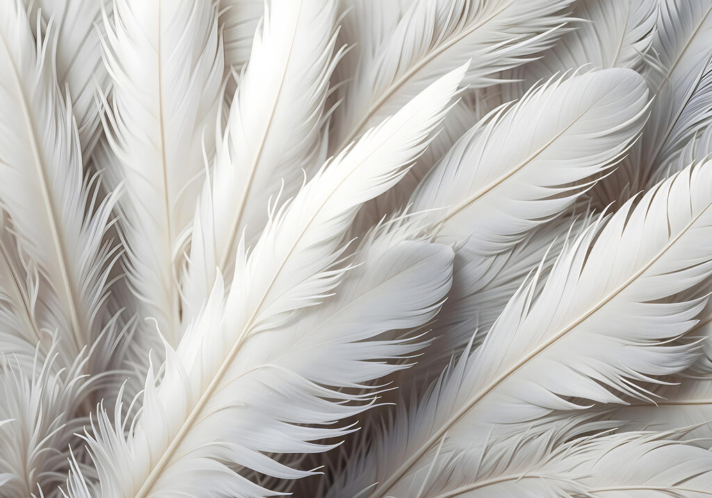 Densely packed white feathers — full design