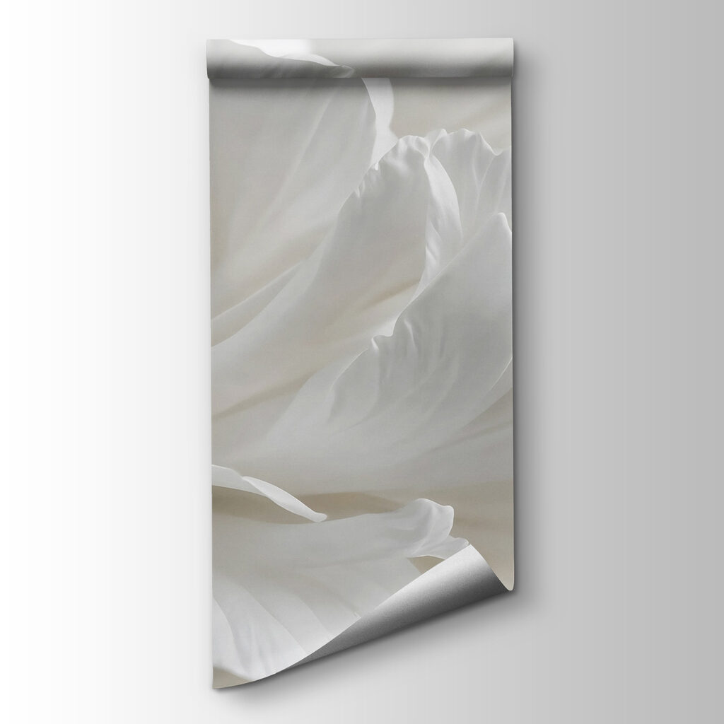Close-up white flower — product view