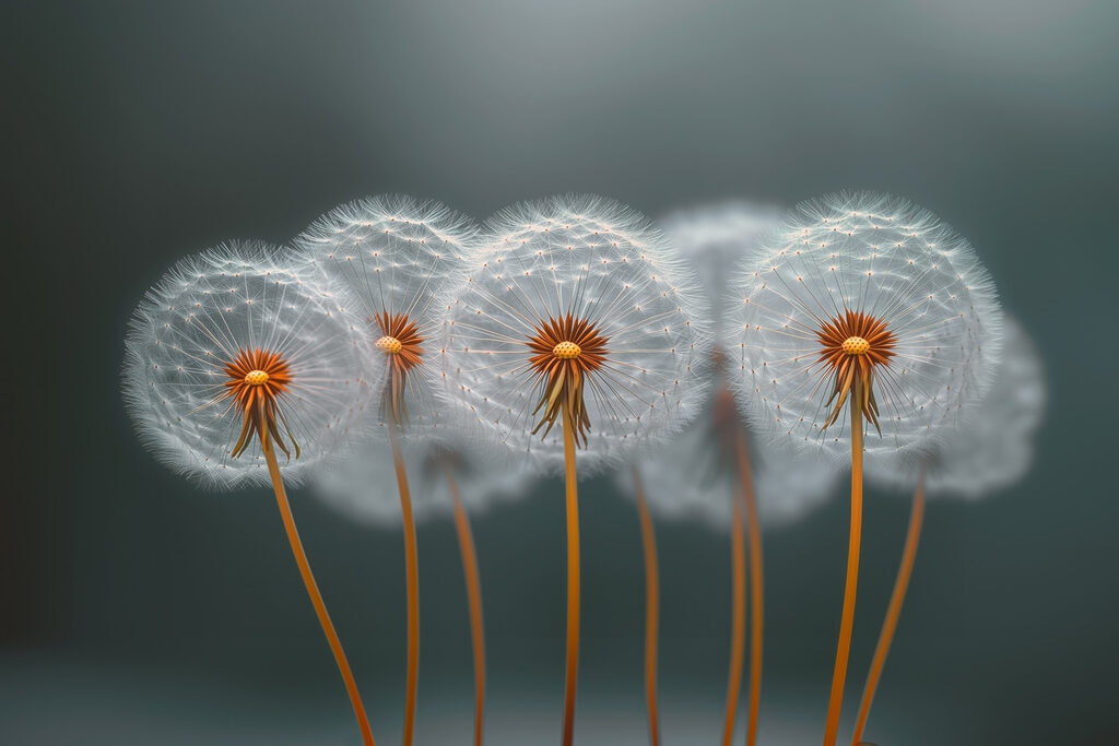 Orange-stemmed seed heads — full design