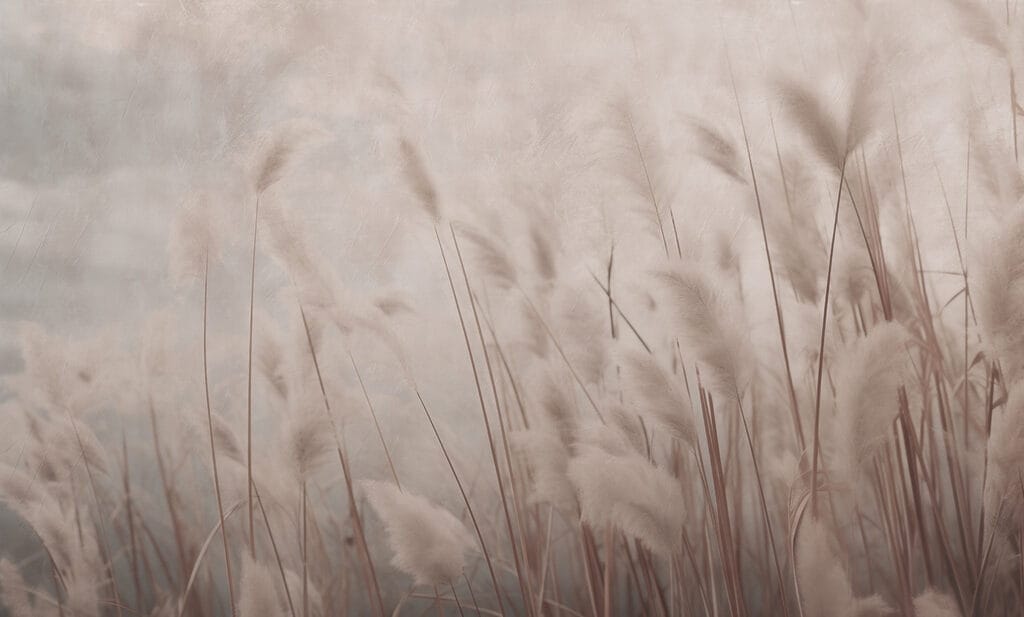 Soft taupe grass plumes — full design