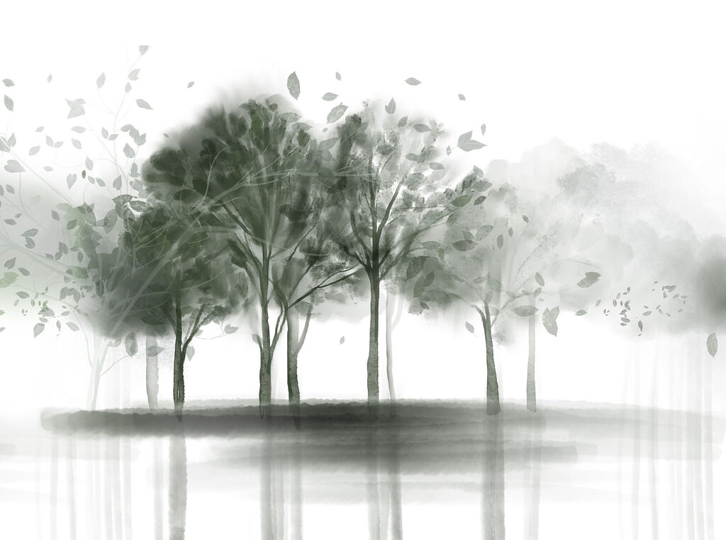 Trees reflected in mist — full design